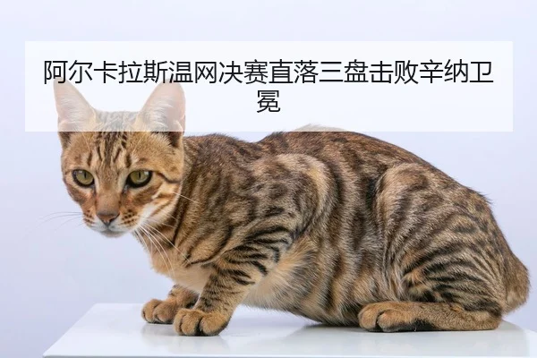 a-er-ka-la-si-wen-wang-jue-sai-zhi-luo-san-pan-ji-bai-xin-na-wei-mian-2-594.jpg